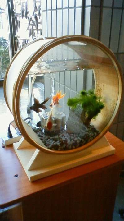 特殊な金魚鉢