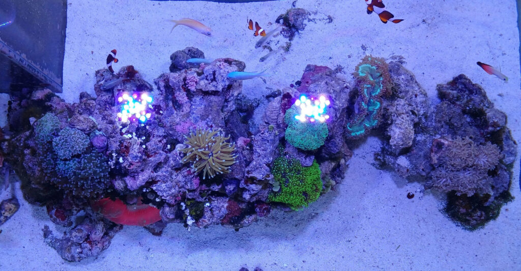 個人宅水槽3上見