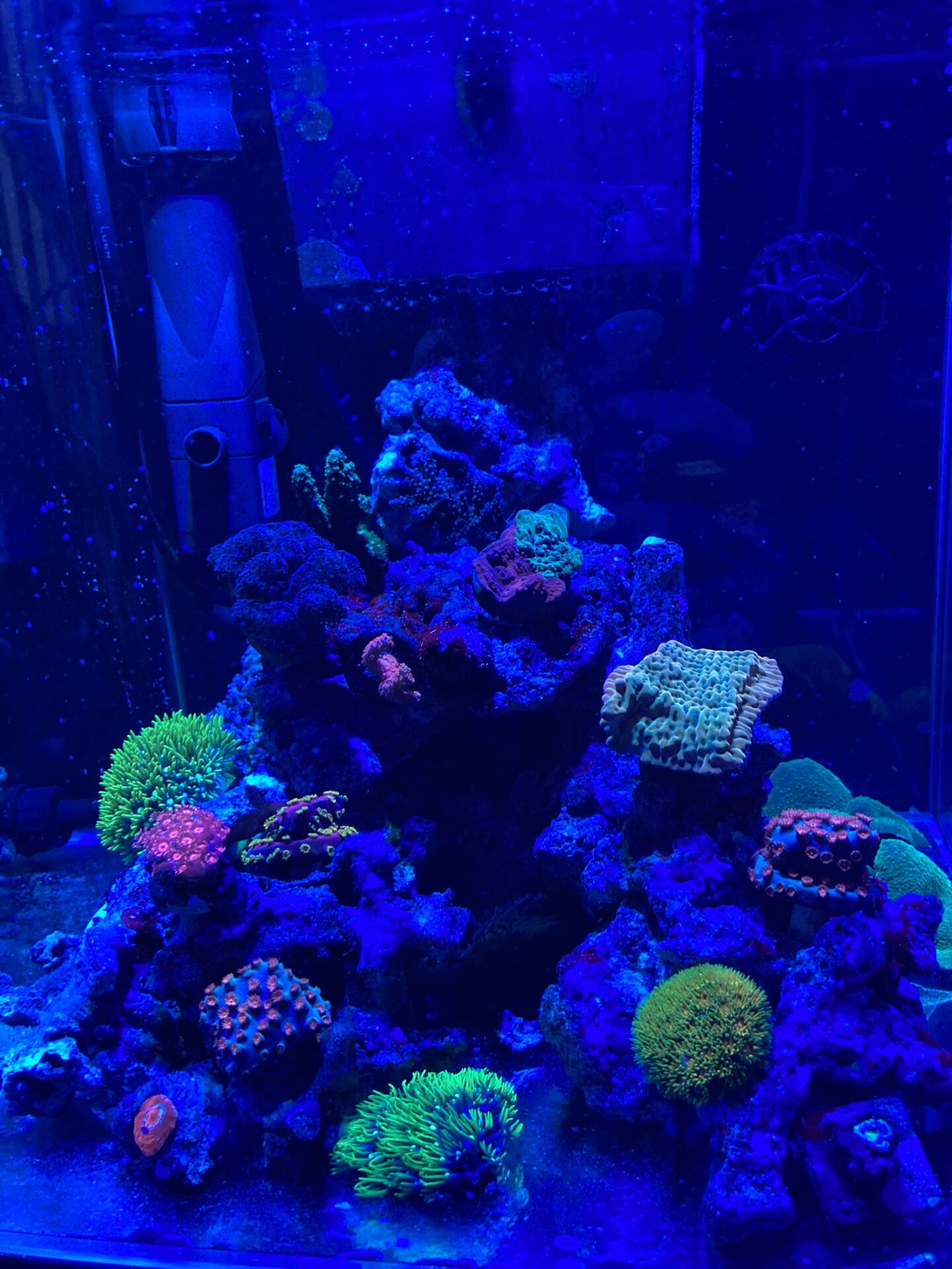 【Case４】孫が帰省するが喜んでもらえるモノないかな？