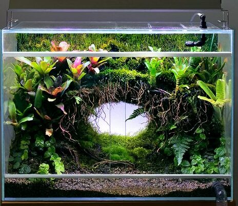 パウダリウム水槽