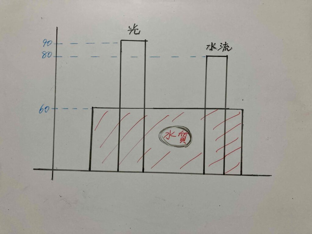 サンゴのリービッヒ1