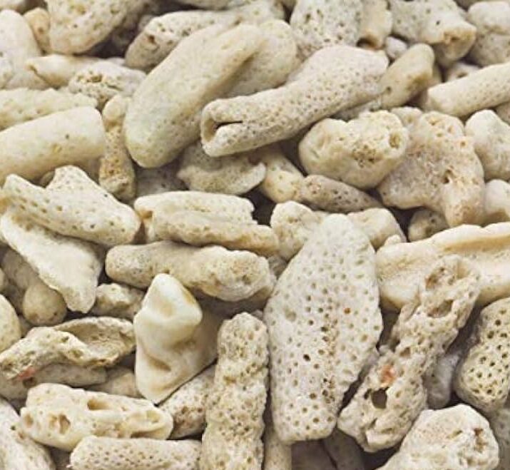 カルシウムリアクターのメディア