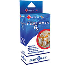 フラットワームRX