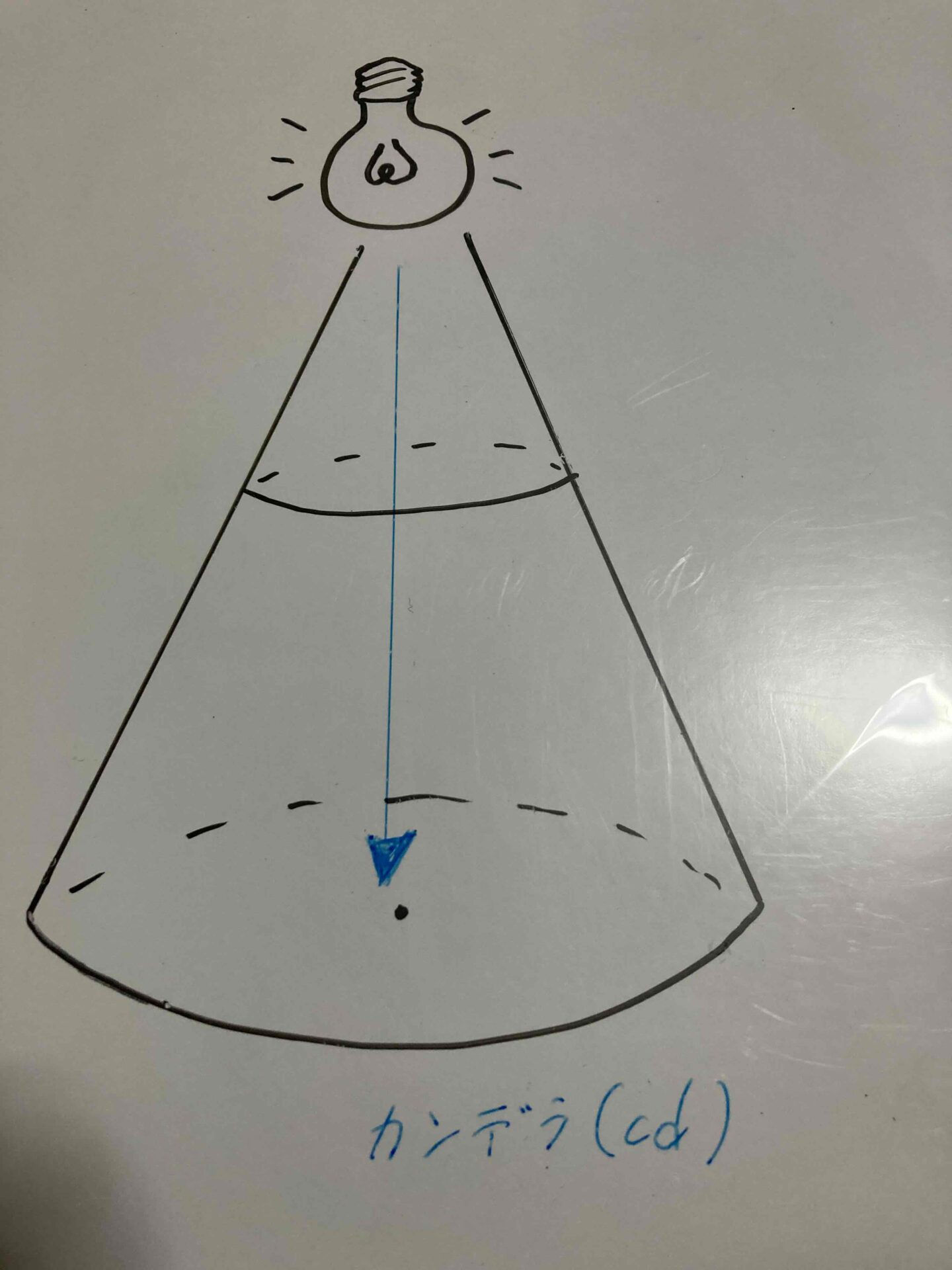 カンデラ説明