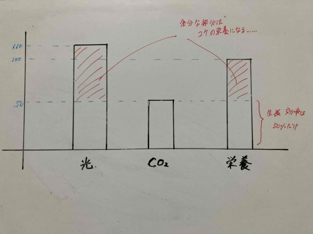 リービッヒの最小律1