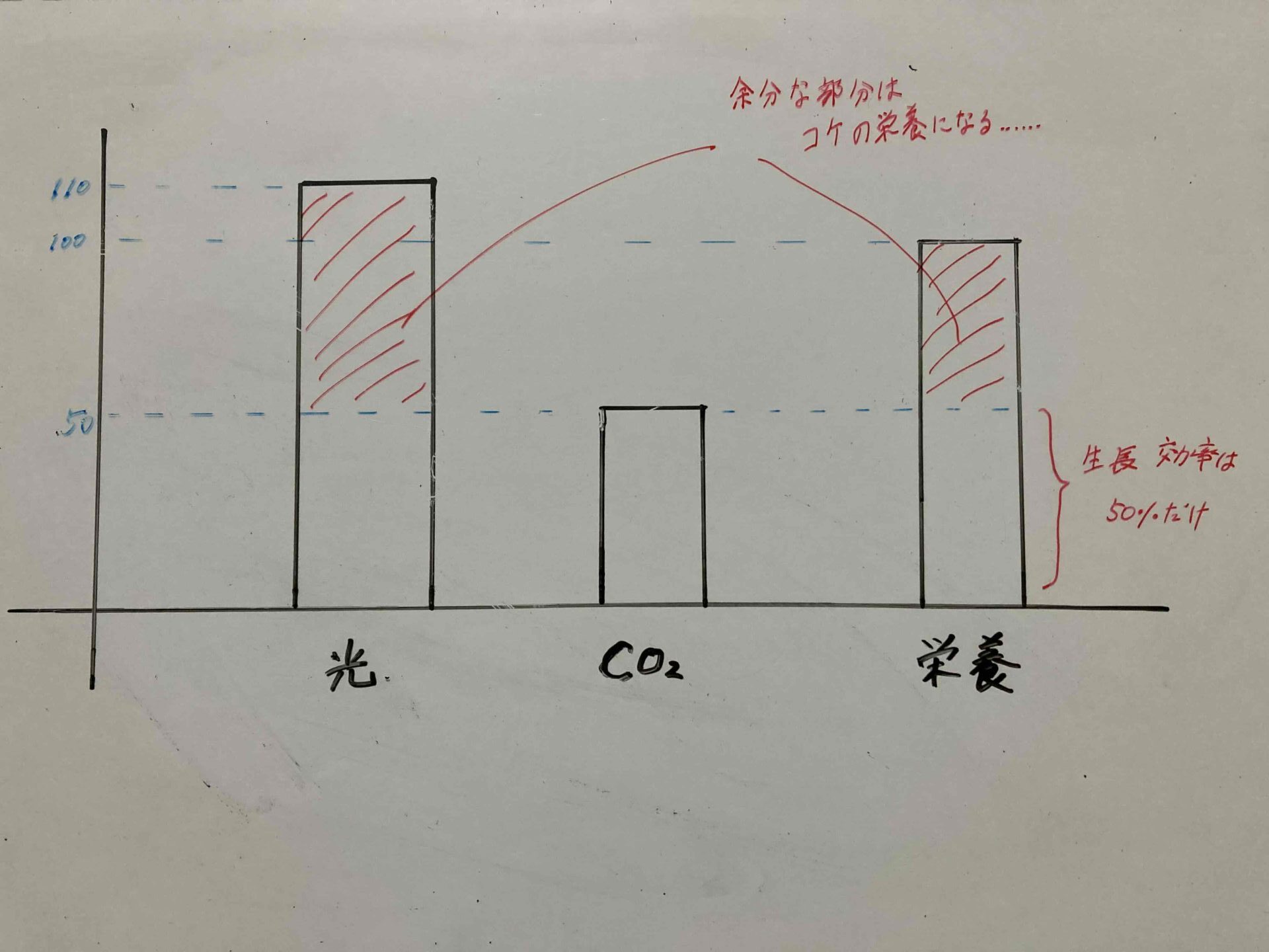 リービッヒの最小律
