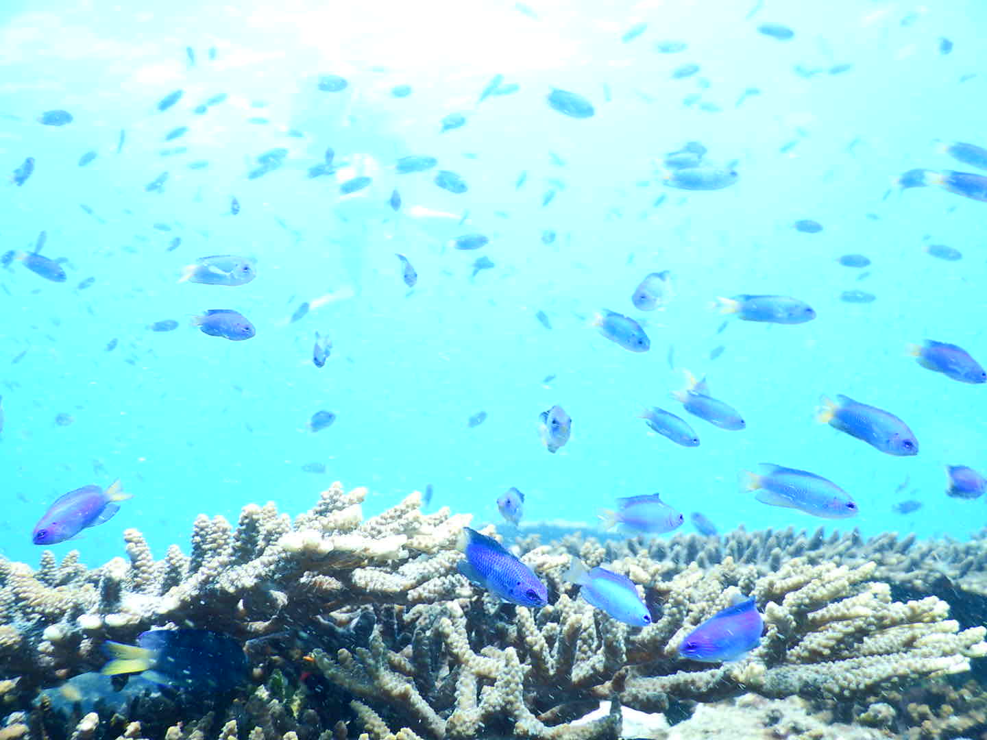 水換えを理解しよう