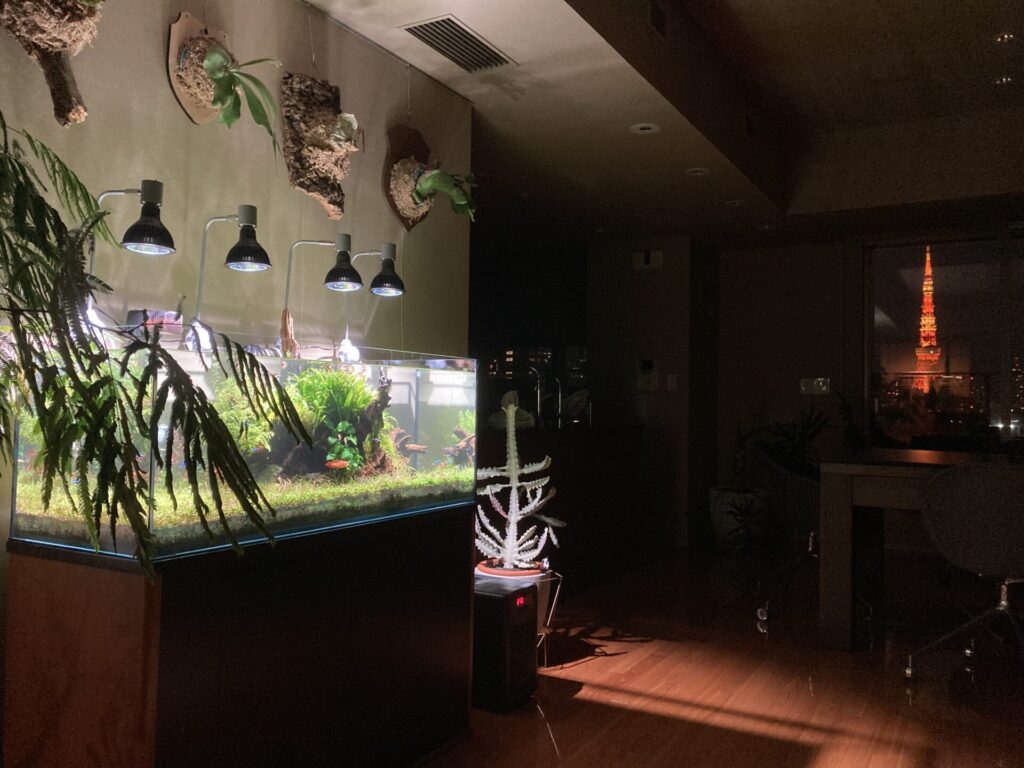 高級マンションと水槽