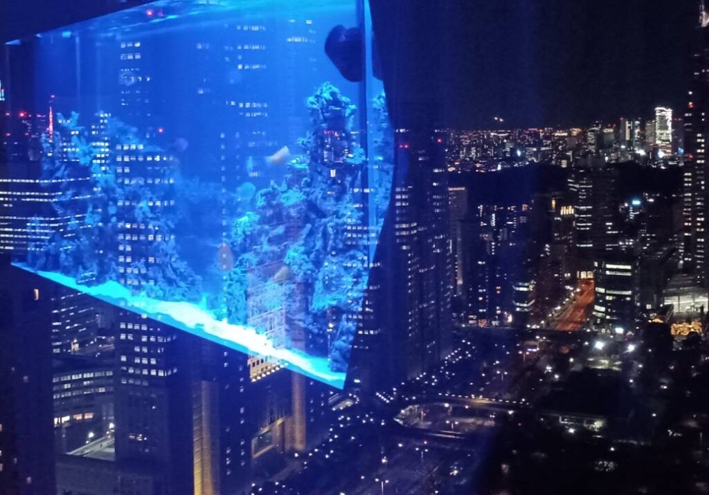 夜景に反射する水槽