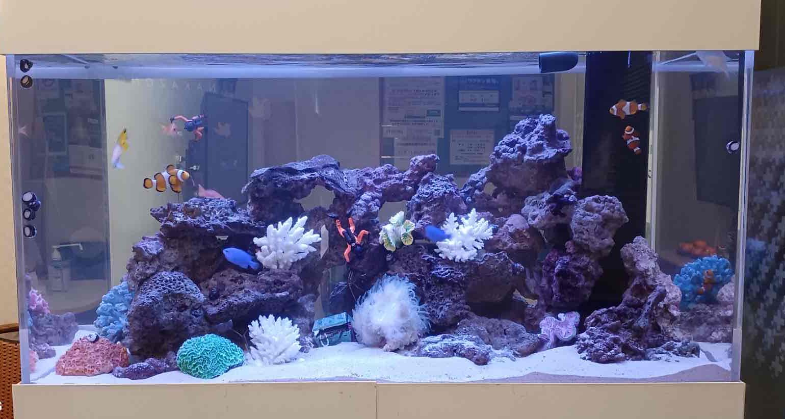 クリニック水槽