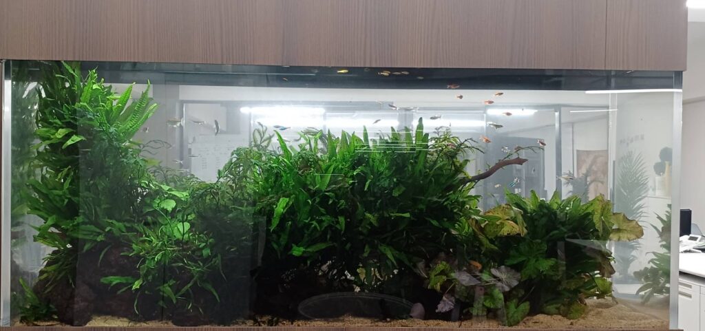 オフィス水槽