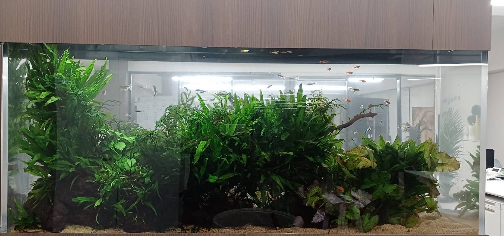 【Case３】オフィスエントランスに来客の印象に残るインテリアないかな？