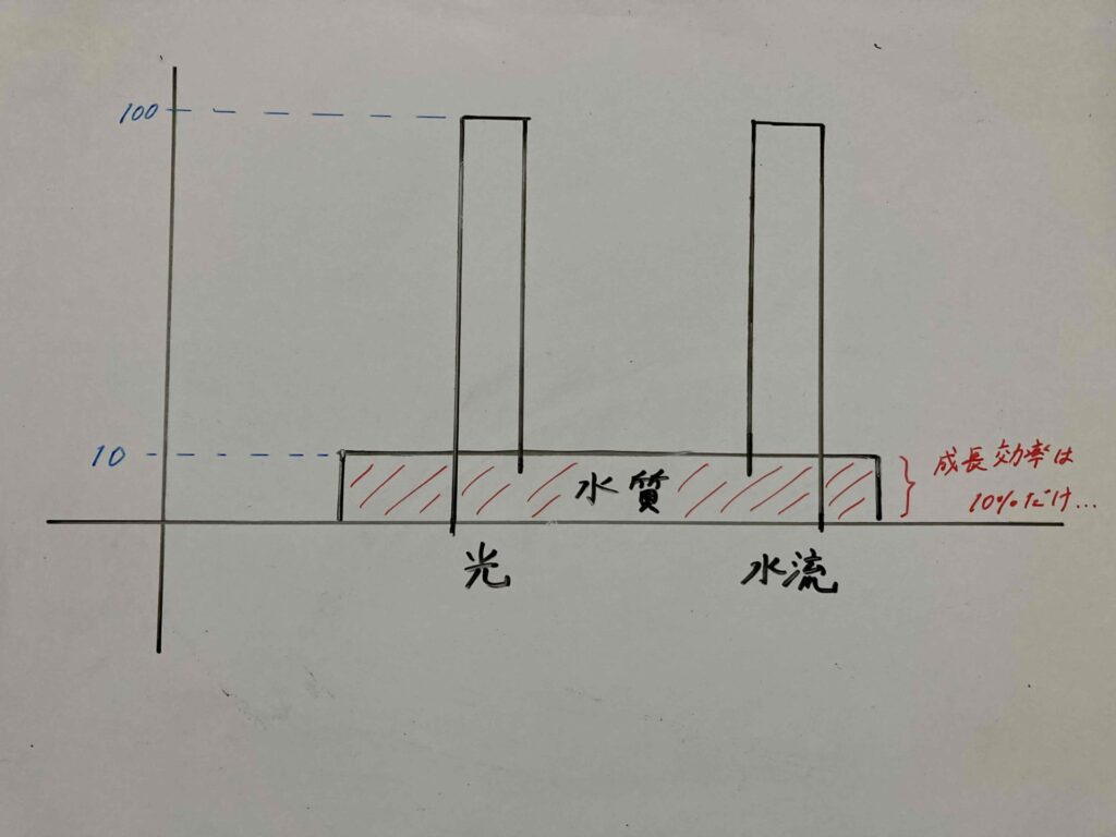 サンゴのリービッヒ2