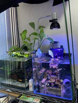 スポットライト設置