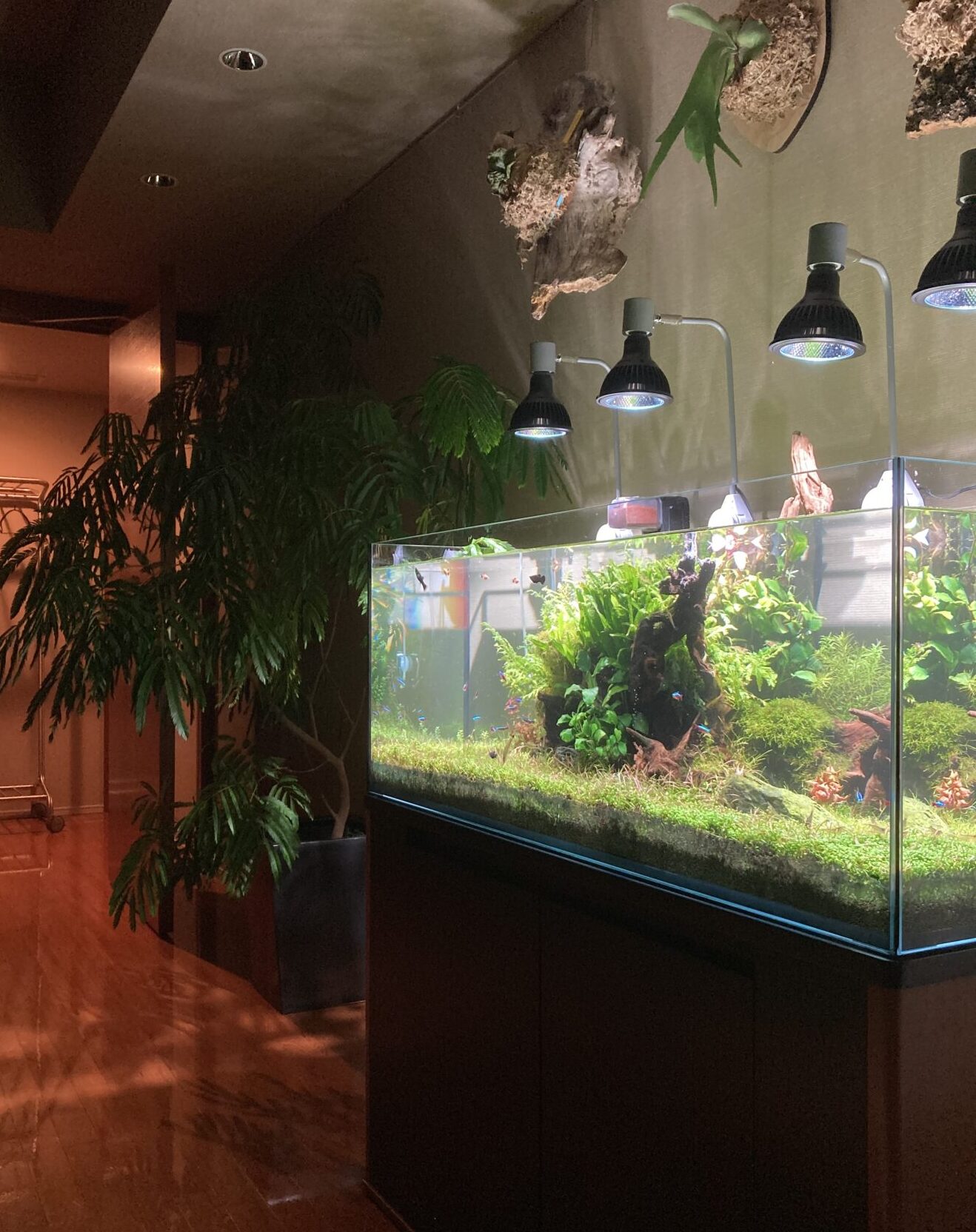 【Case8】別荘に水槽を置きたいな…