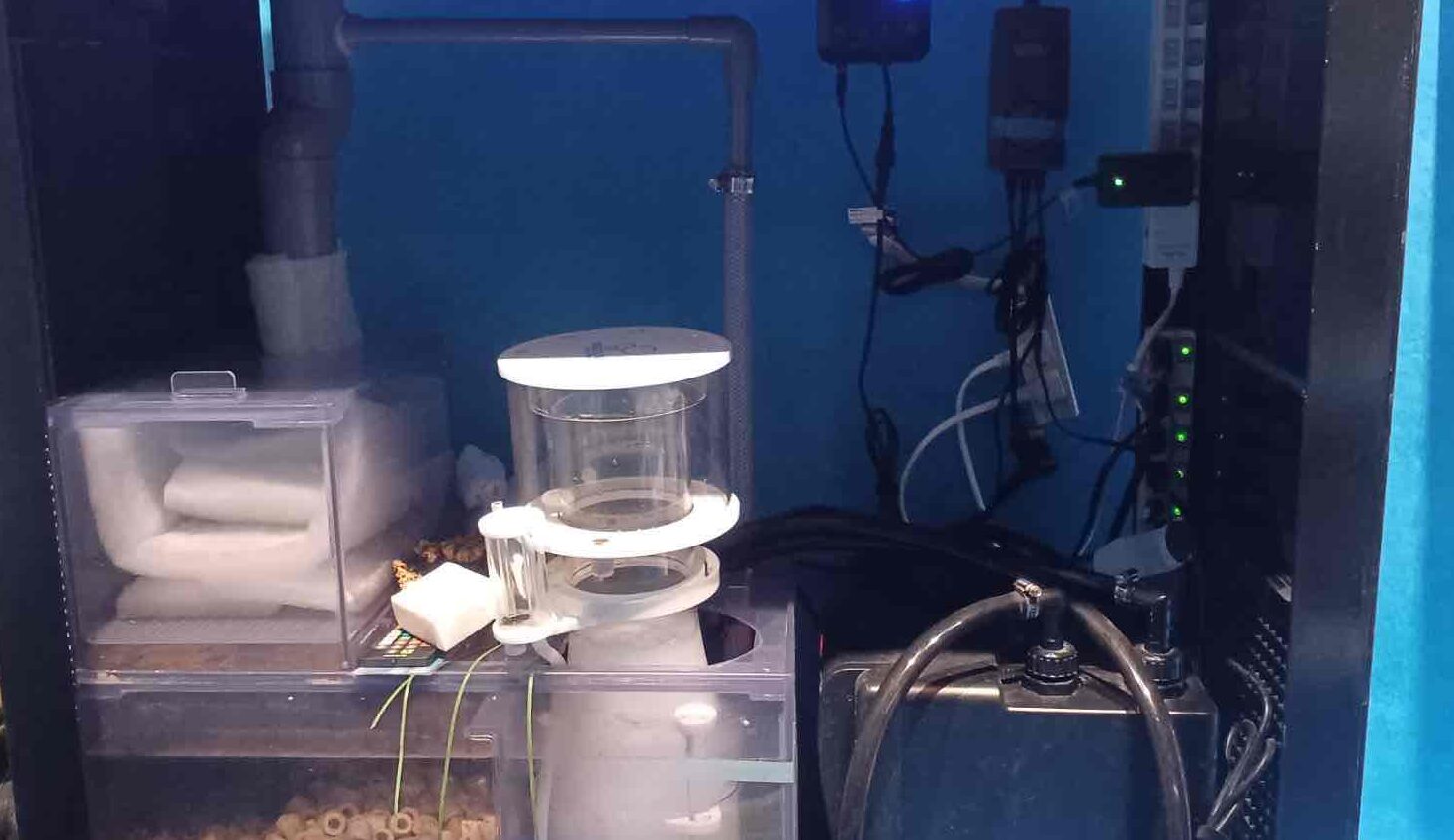 オーバーフロー水槽（OF水槽）