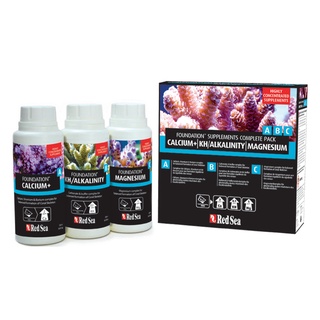 RedSeaリーフファンデーション