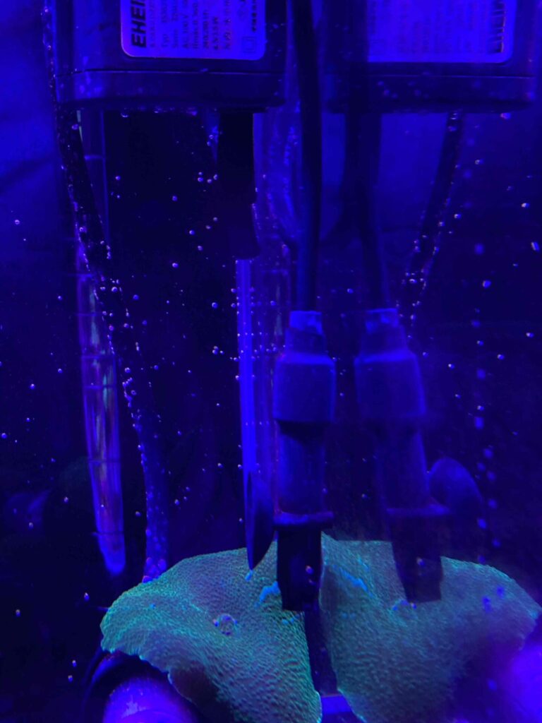 キスゴムはずれセンサー