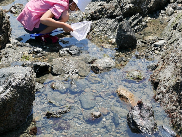 子どもと磯