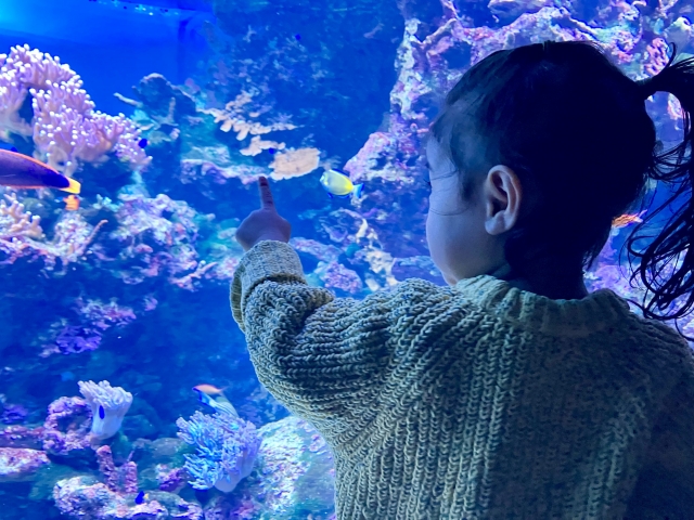 水槽と子ども